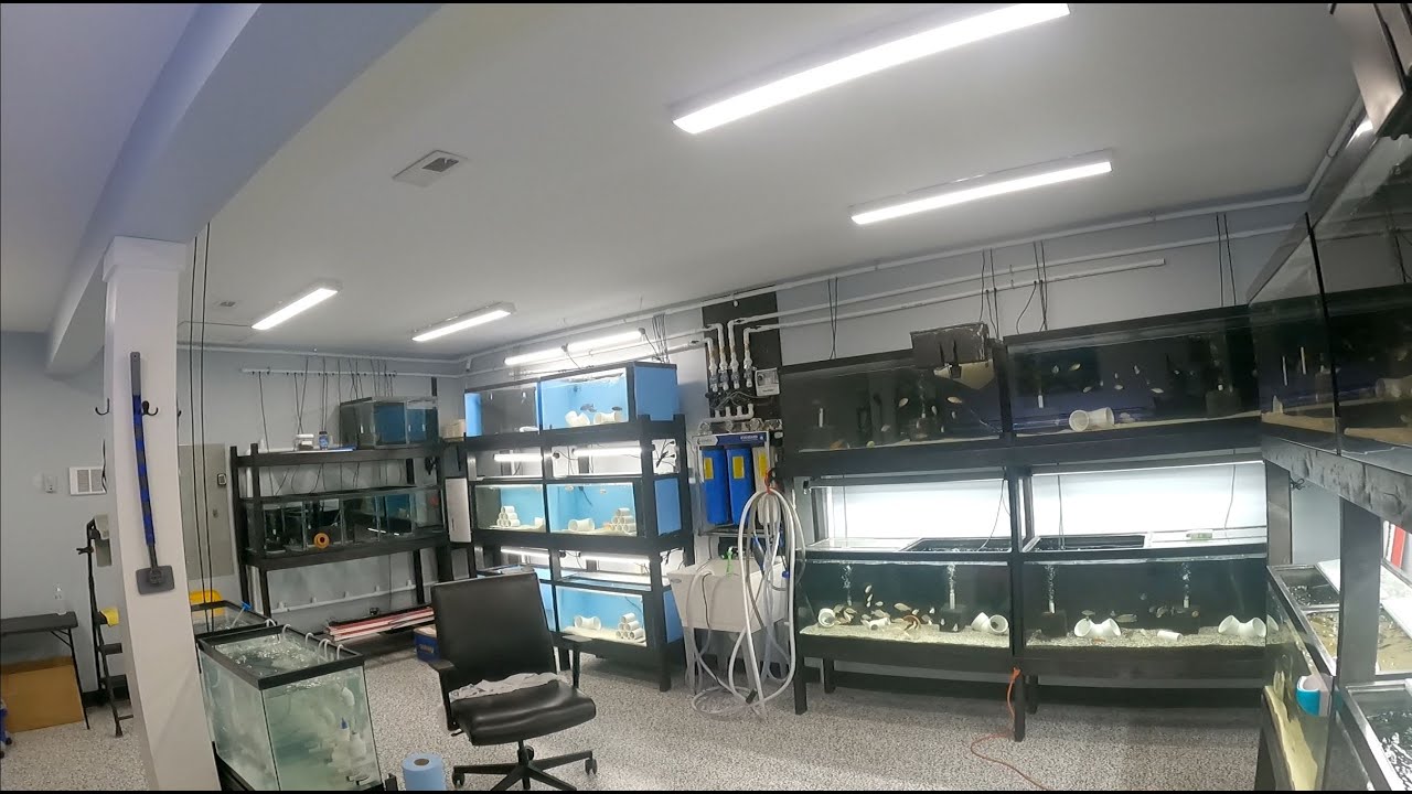 Fish Room Walkthrough 4/7/2022