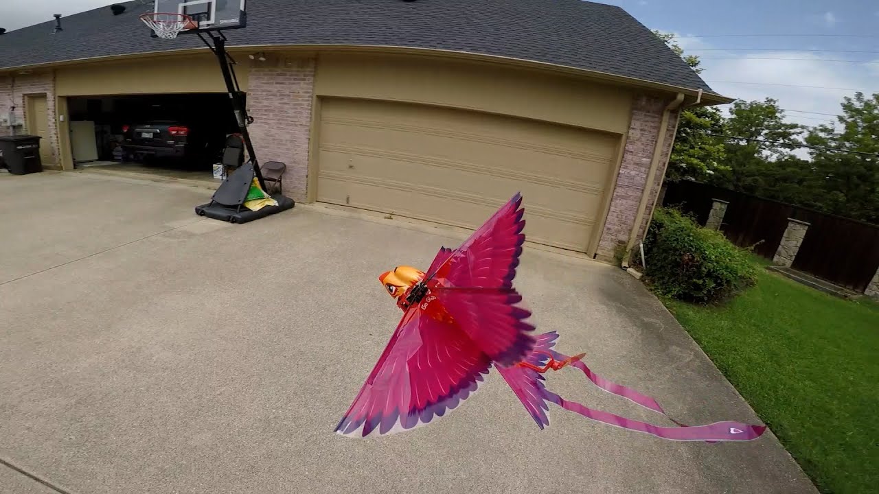 Its a bird drone Go Go Bird=FUN