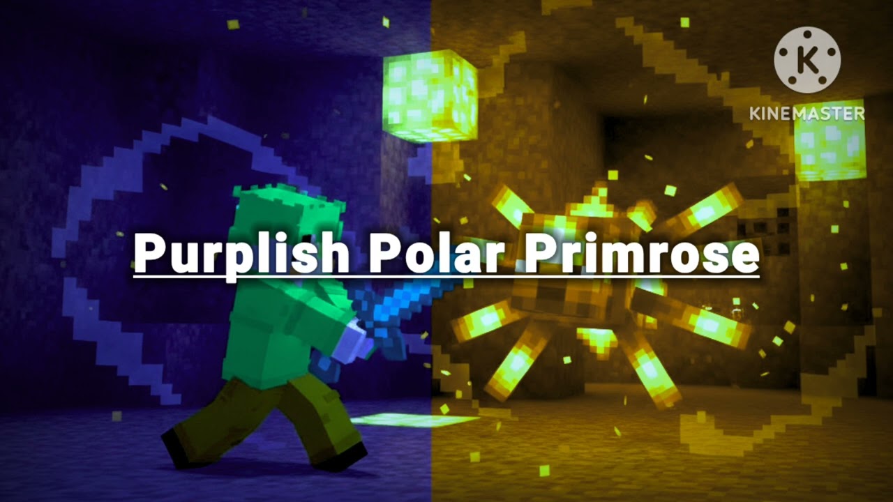 Purple Polar Primrose [ 새싹이_music ]