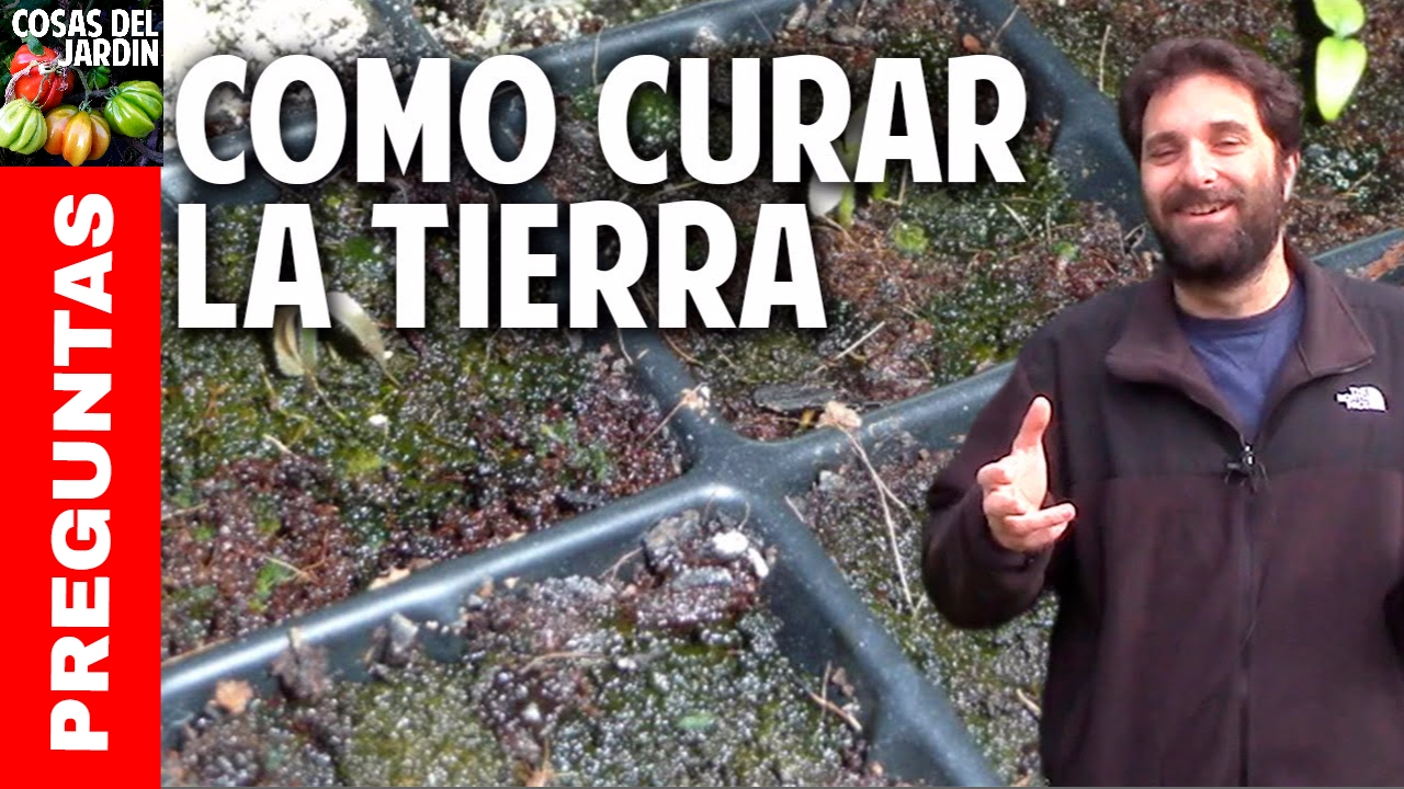 C&oacute;mo reciclar la tierra enferma de tus macetas y semilleros @cosasdeljardin