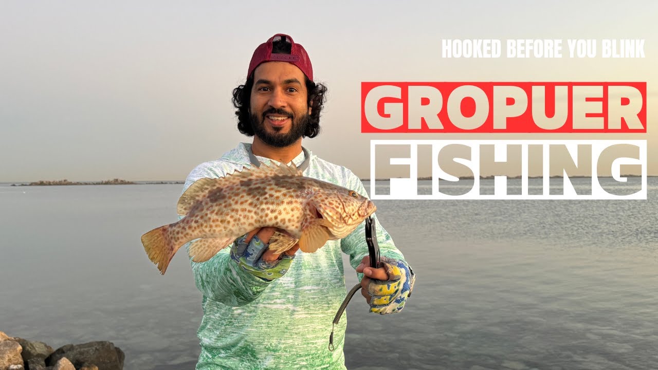 🚨🐟⚔️ Battling Barracuda and Grouper From the Rocks | Ajman Fishing Spot