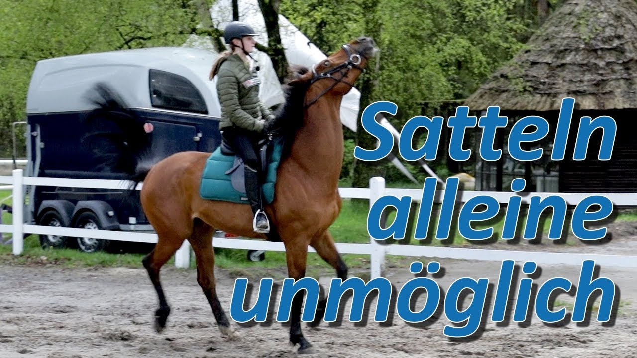 Sattelzwang, Steigen beim aufsatteln und Angst vor der Aufstiegshilfe - Fall Schokie Teil 1/2