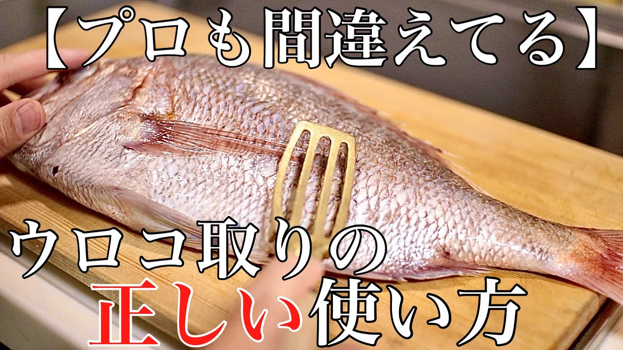 【プロも間違えてる】もう飛び散らない ウロコ取りの正しい使い方