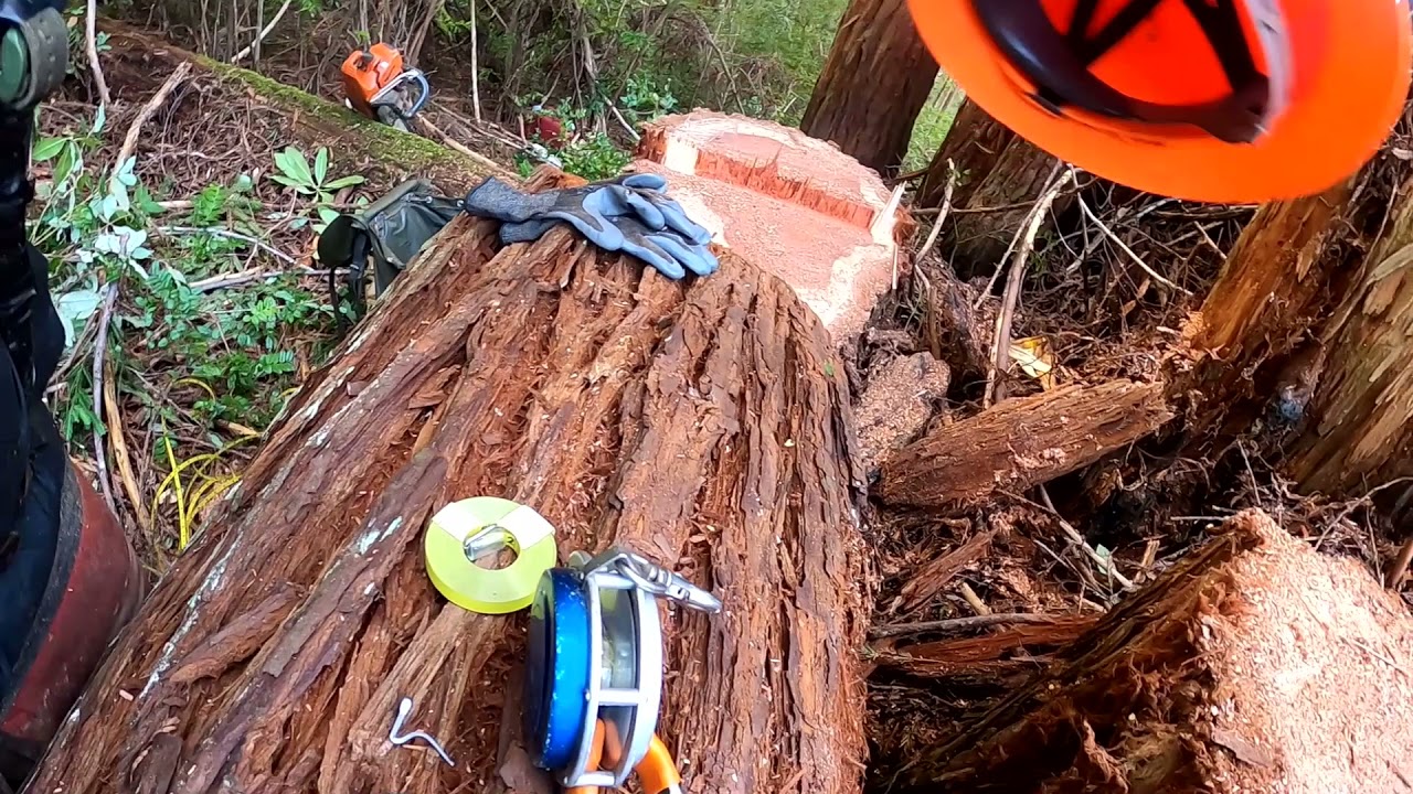 An easy and fast way to change a spencer log tape filler