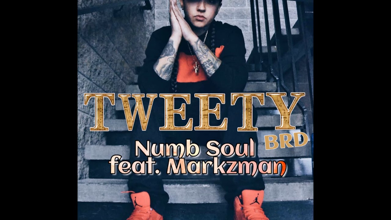 Tweety Brd feat. Markzman - Numb Soul