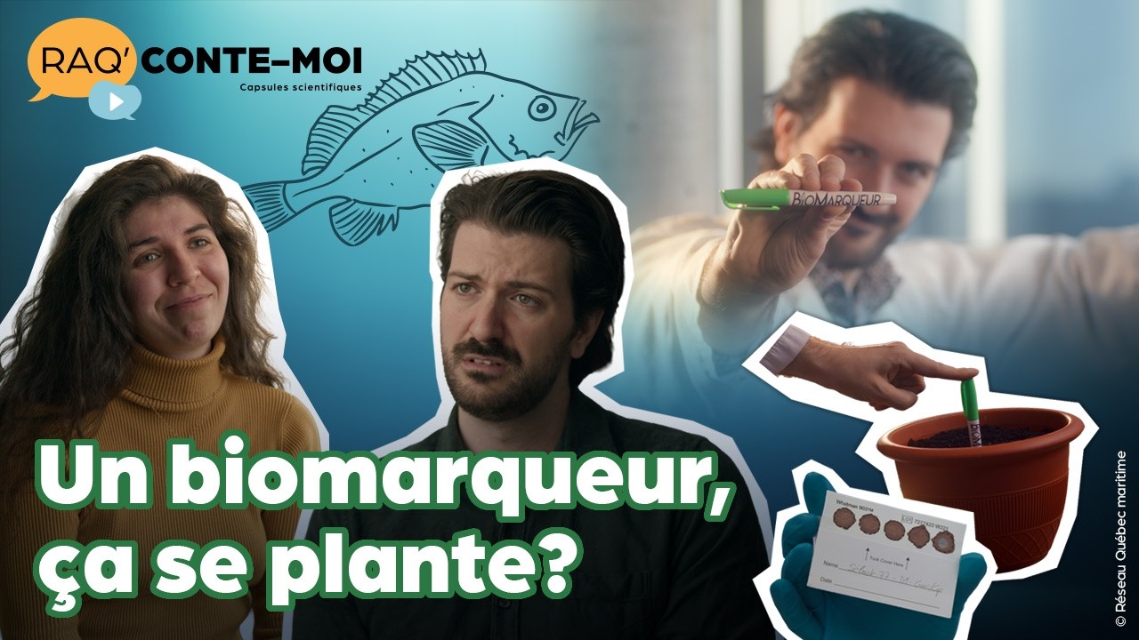 RAQ’CONTE-MOI comment une goutte de sang nous informe sur la santé des poissons