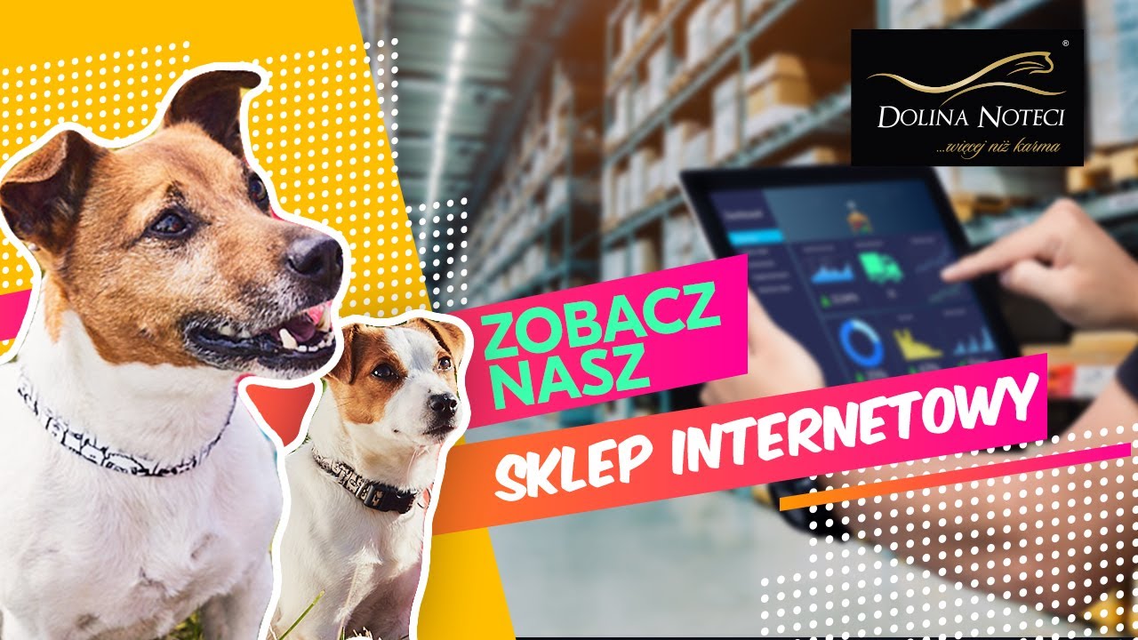 dolina-noteci.pl | film promocyjny sklepu internetowego