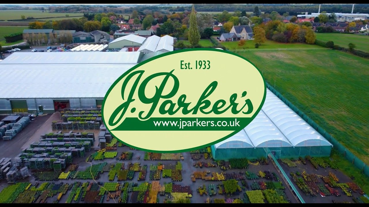 O J. Parkerze