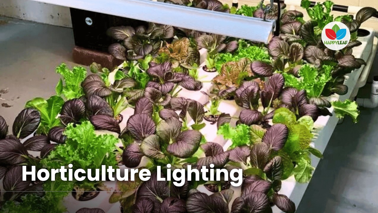 LED Grow Lighting for Horticulture Education