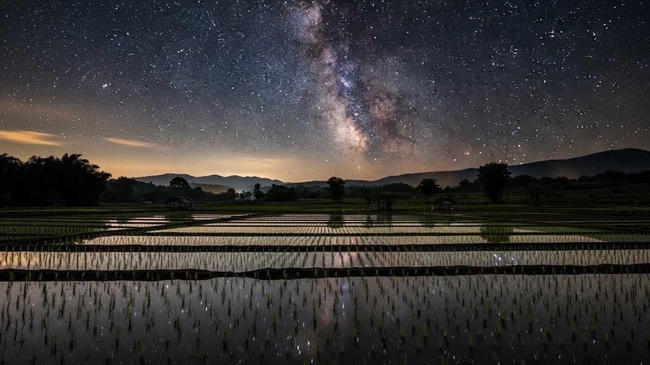 Quiet-Hush Chill Lofi Loops Floating Around Glowing Rice Terraces Beneath Starlit Skies