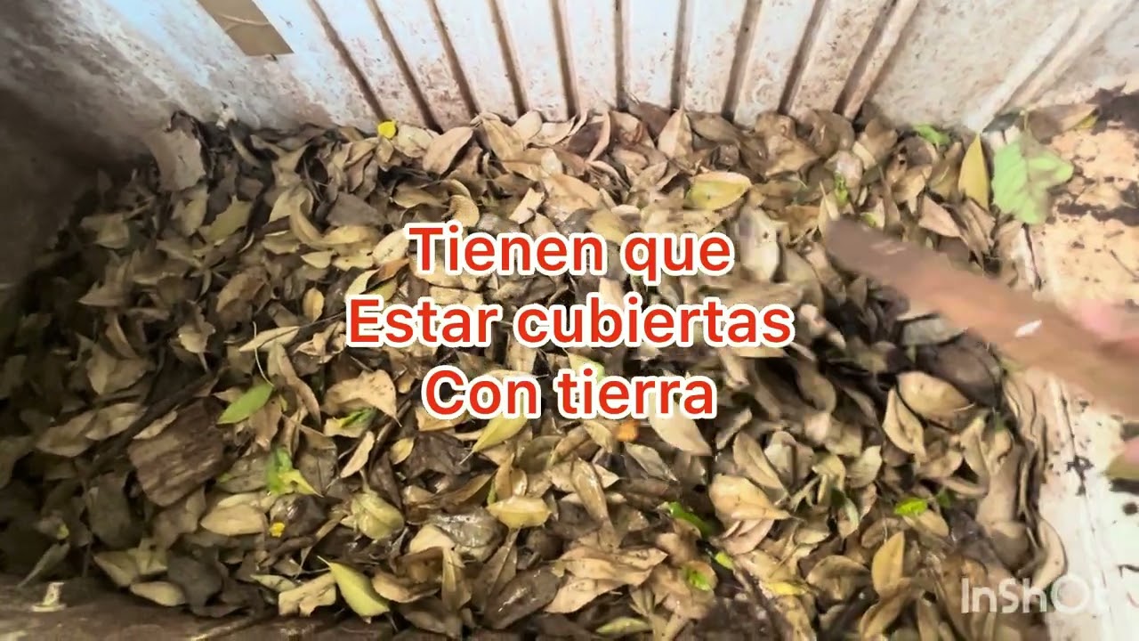 LOMBRICES: cómo hacer un Criadero.Suscríbete 👌🏽
