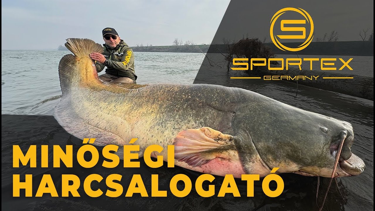 Sportex harcsázó botok: óriásokra tervezve