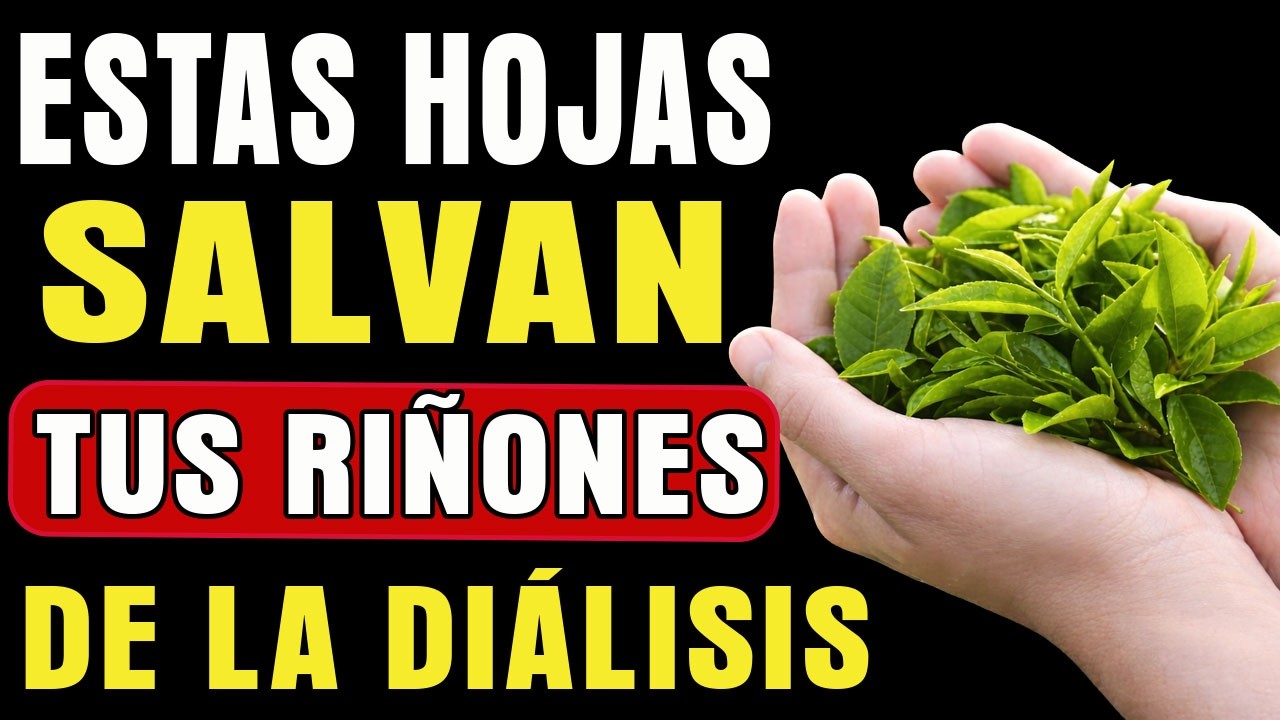 5 HOJAS que PROTEGEN tus RIÑONES y Reducen la Creatinina Naturalmente