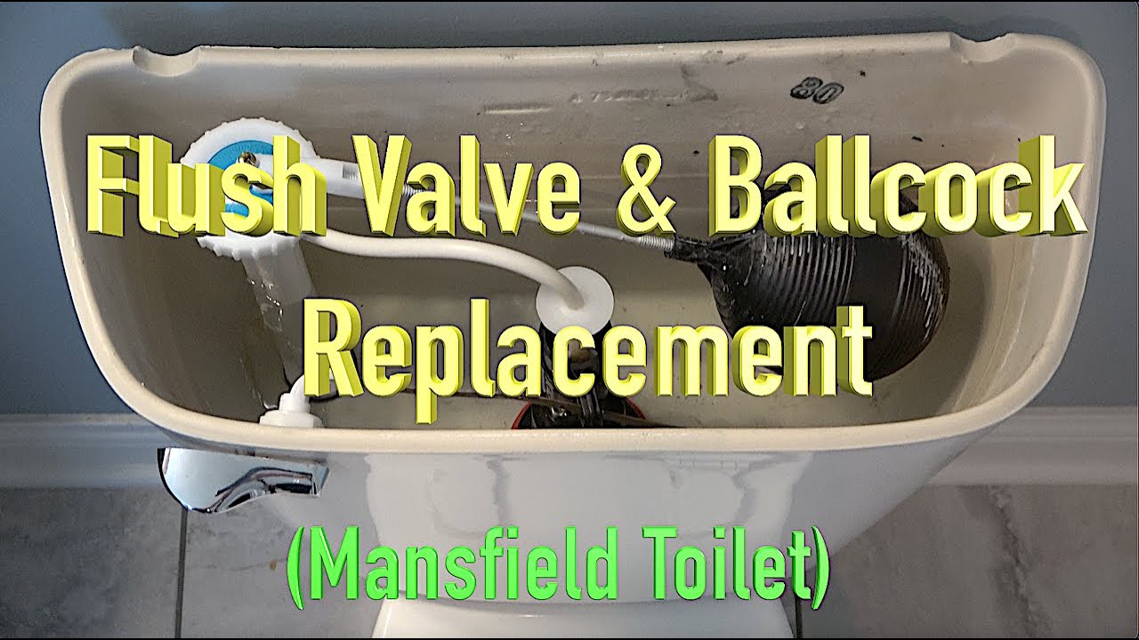 Flush Valve & Ballcock Replacement / Mansfield Toilet