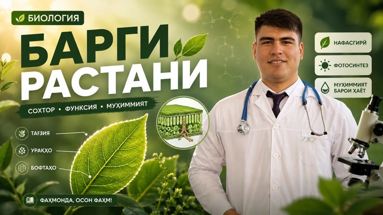 Ботаника | 7.2 Барг