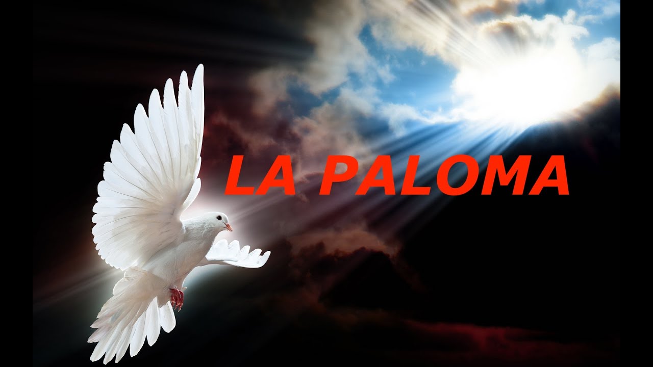 LA PALOMA  -  DOOR ARTHUR  -  EVERGREEN - EIGEN NEDERLANDSE TEKST OP VERSIE VAN 1962