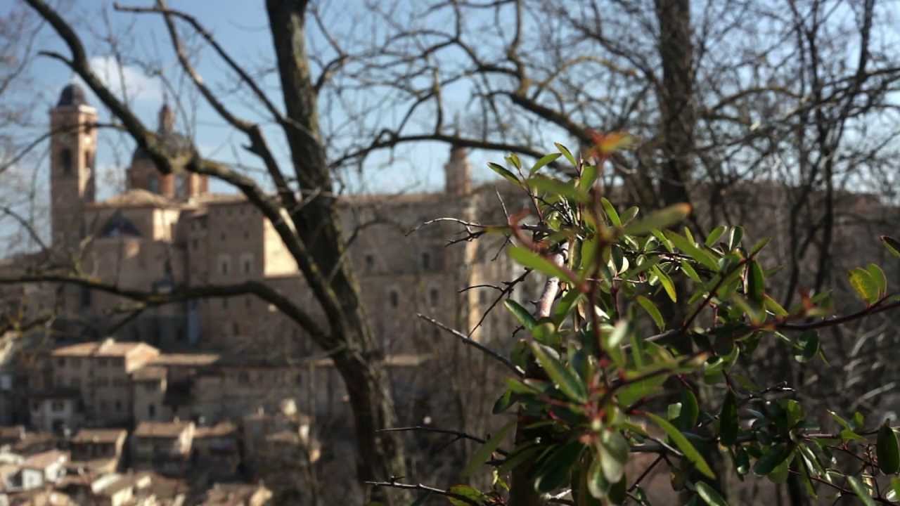 Grafica Grafica - la Grafica d'Arte, il Graphic Design, la città di Urbino e il suo territorio