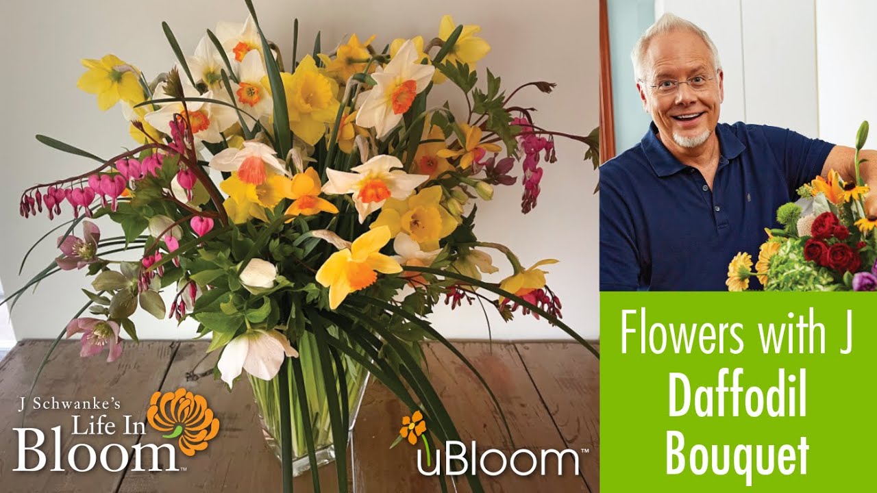 Daffodil Arrangement- LIVE with J