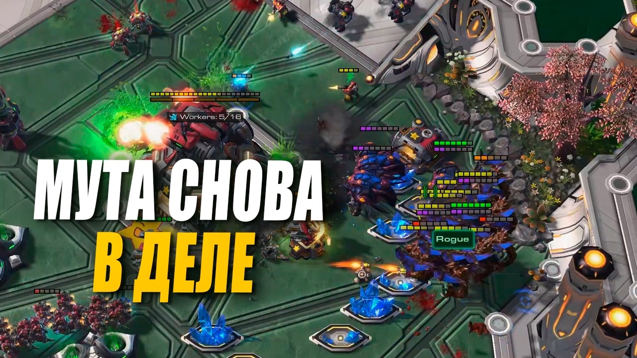 ФАНТАСТИЧЕСКИЙ ЛЕЙТГЕЙМ ОТ Maru и Rogue в StarCraft 2