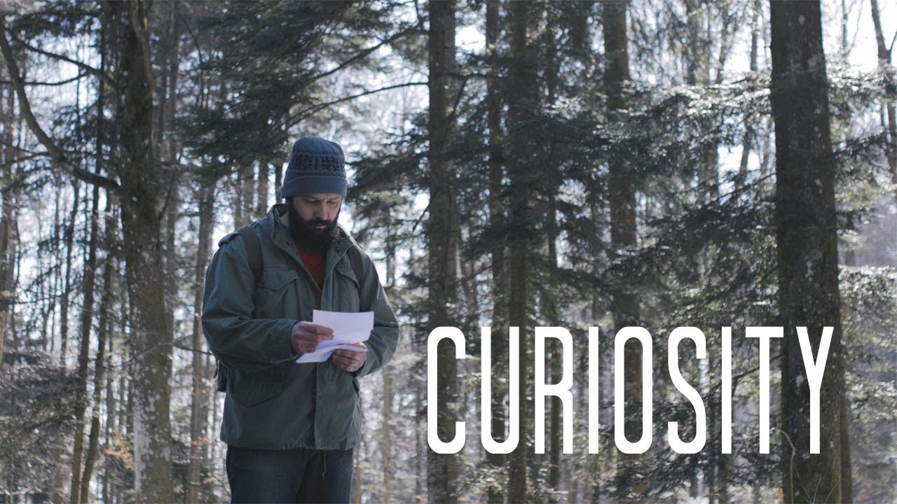 Curiosity - Short film [2019. / 4K]