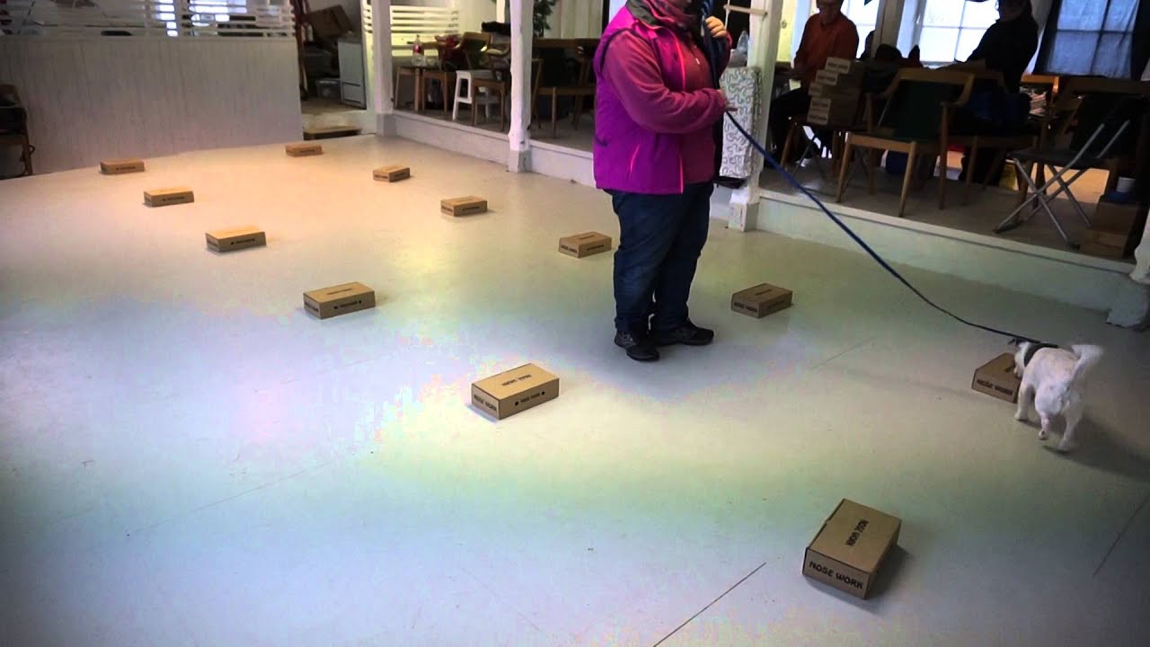 Doftprov januari 2016 Corrado