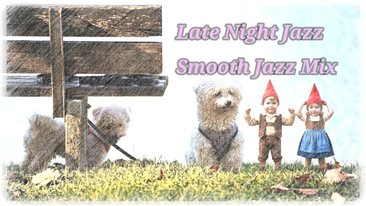 Smooth Jazz Night – 13 AI Jazz Songs | STM_K Dreamtone