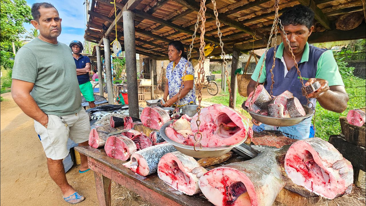 Legend!! Beautiful Nature Rural Island Street Fish Market Hidden Village Culture