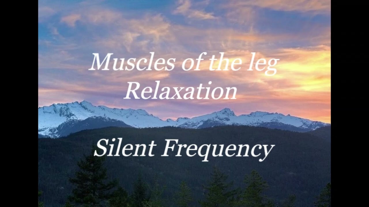 Muscles of the leg Relaxation Silent Frequency