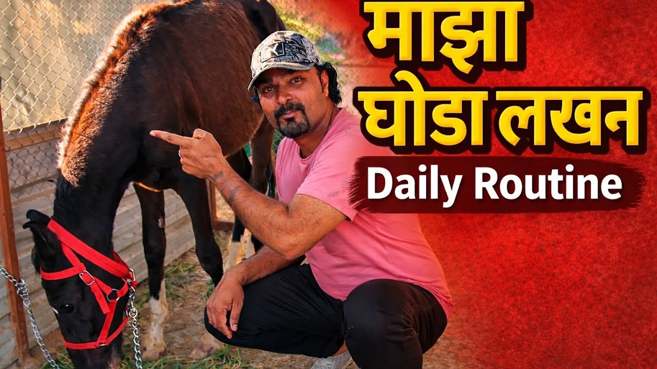 माझा घोडा “लखन” 🐎 | रोजची रूटीन आणि काळजी