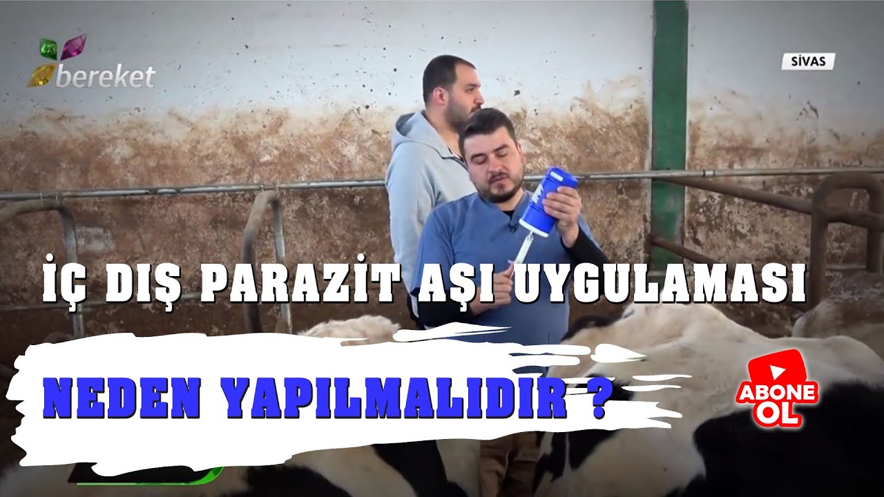 İç Dış Parazit Aşı Uygulaması Neden Yapılmalıdır ?