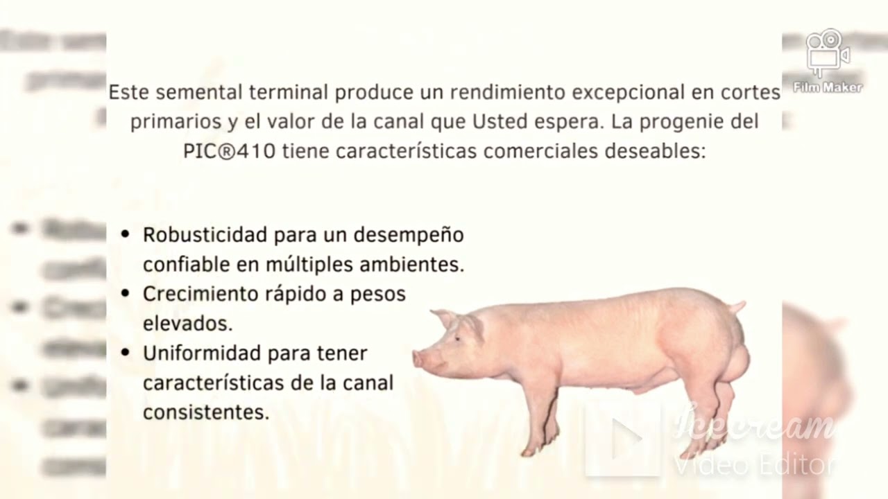 Casa Genética PIC
