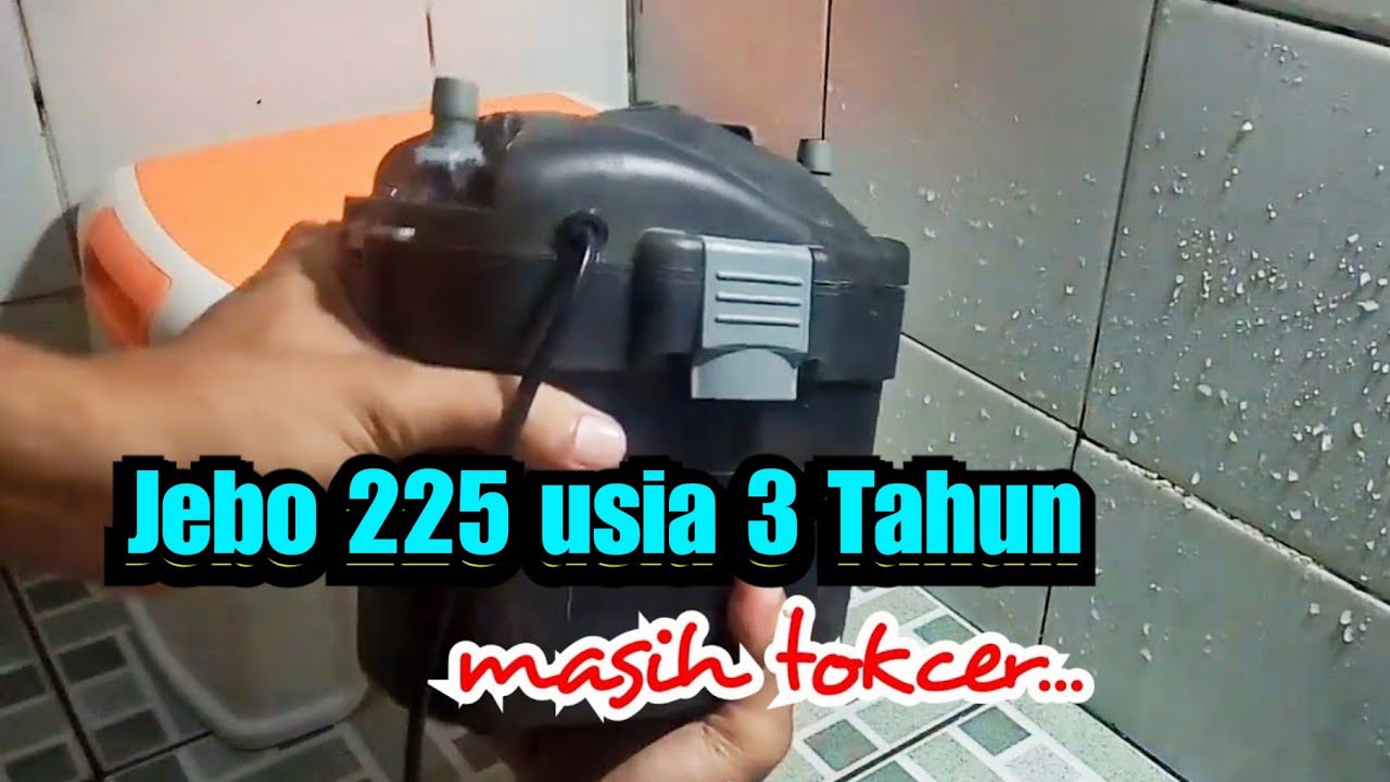 Membersihkan Filter Aquarium Jebo 225 | Canister Filter