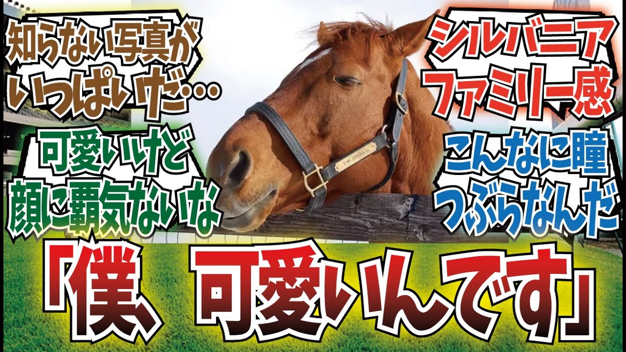 「テイエムオペラオーは可愛いってこと知ってるよね？」に対するみんなの反応集