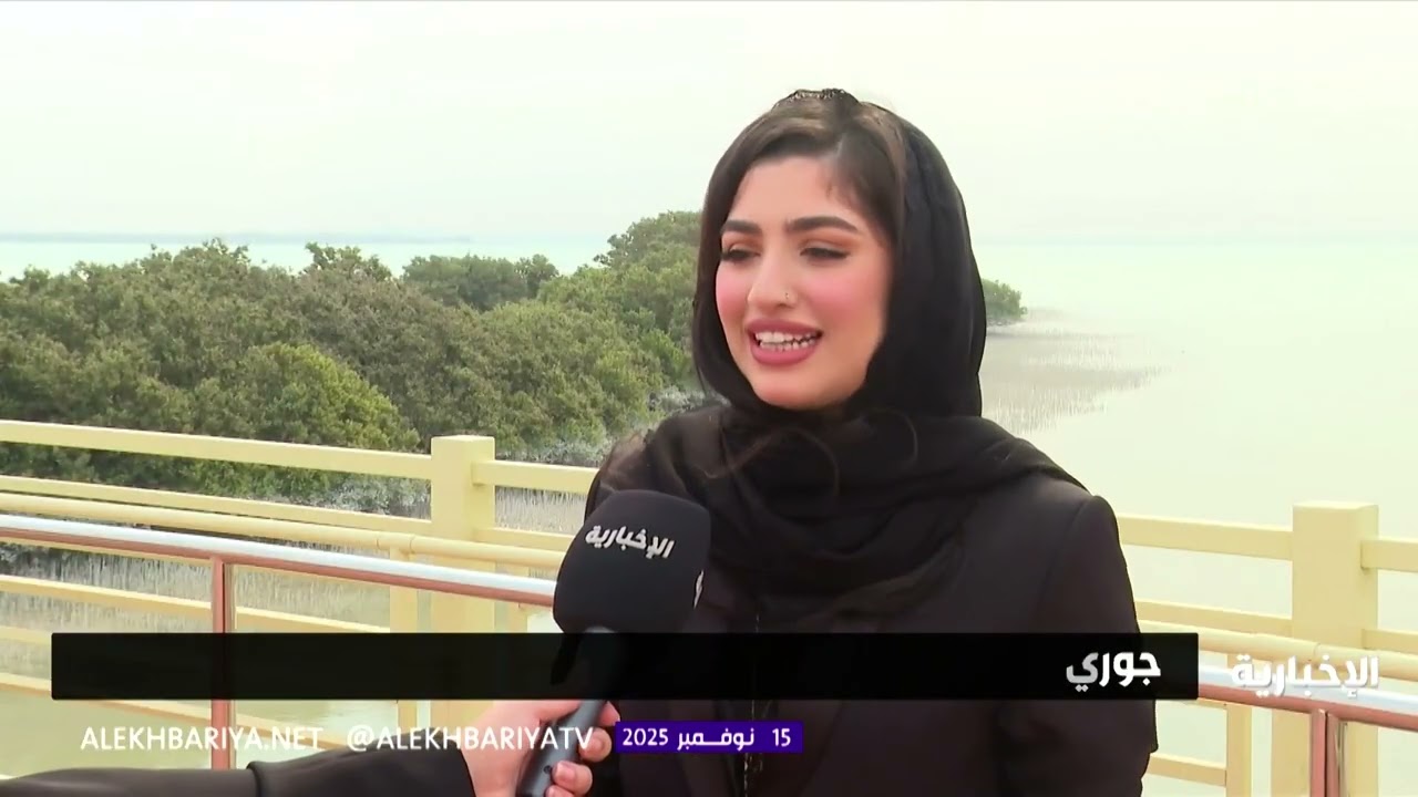 منتزه المانغروف برأس تنورة.. أول محمية لحماية السواحل