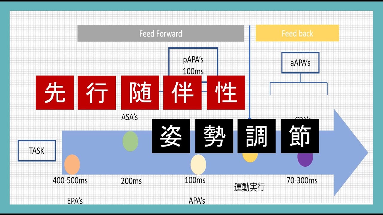 先行随伴性姿勢調節APA,ASA,EPA,CPAの整理と脳卒中への臨床応用