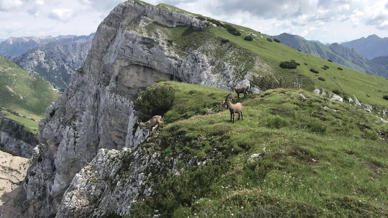 ERTO E CASSO - Monte Borgà e libri di San Daniele