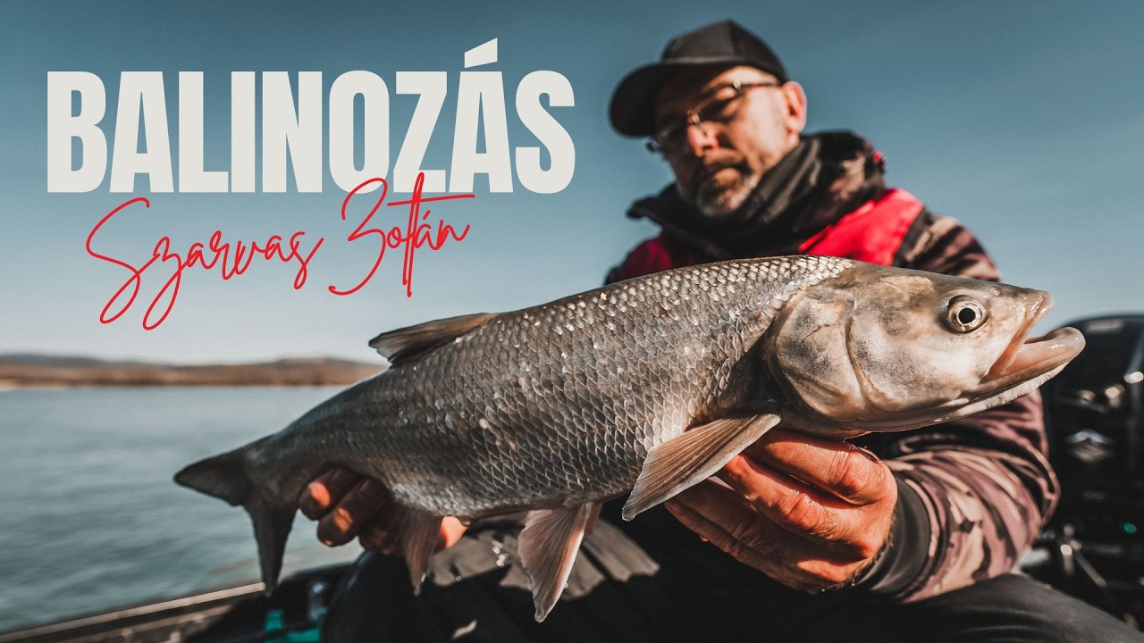 BALINOZÁS, ahogy SZARVAS ZOLI csinálja