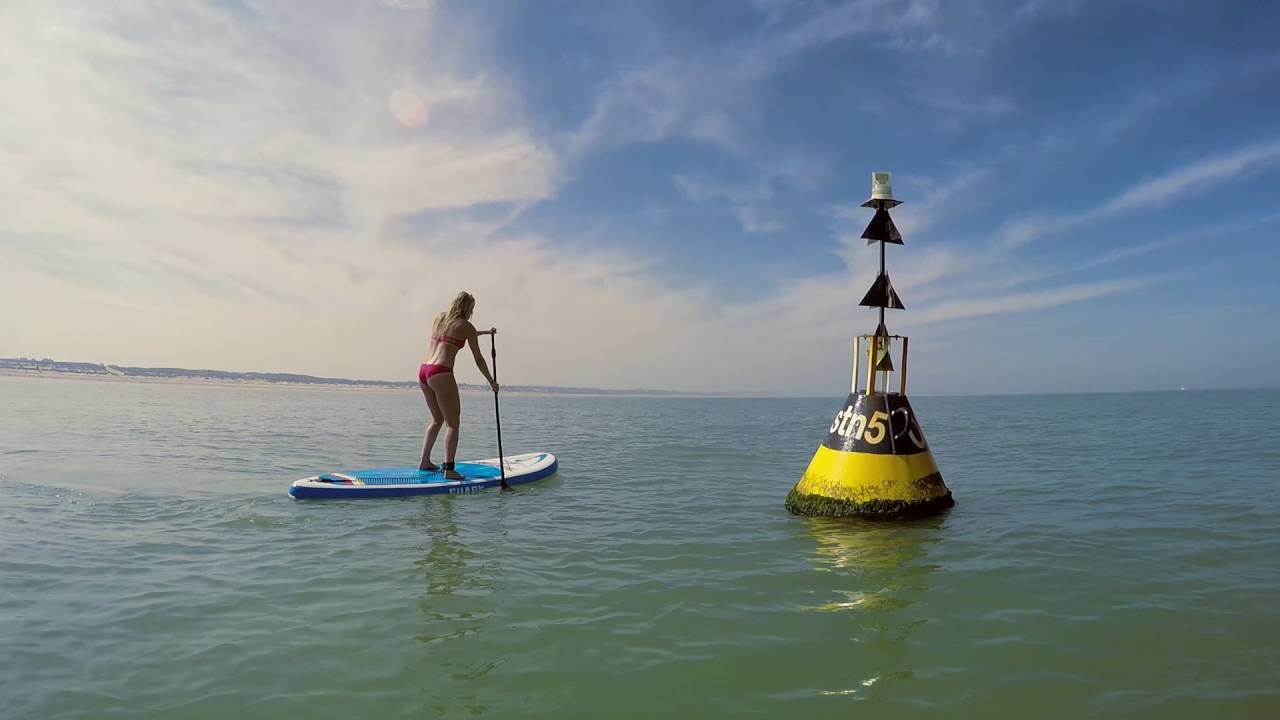 Shark SUPs Inflatable SUP Board