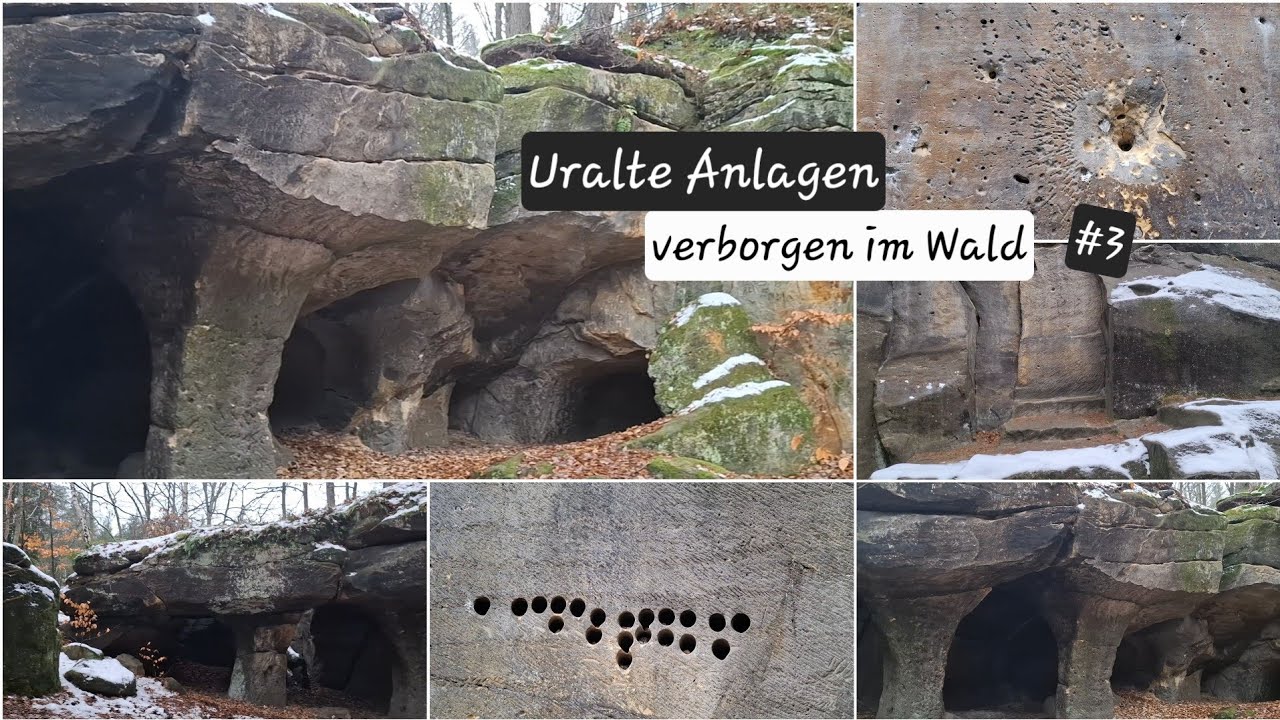 Uralte Systeme liegen im Wald verborgen