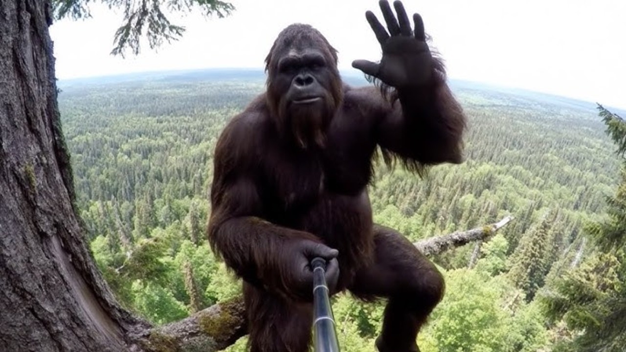 BigFoot Mișună prin Pădure ?? | EP # 3