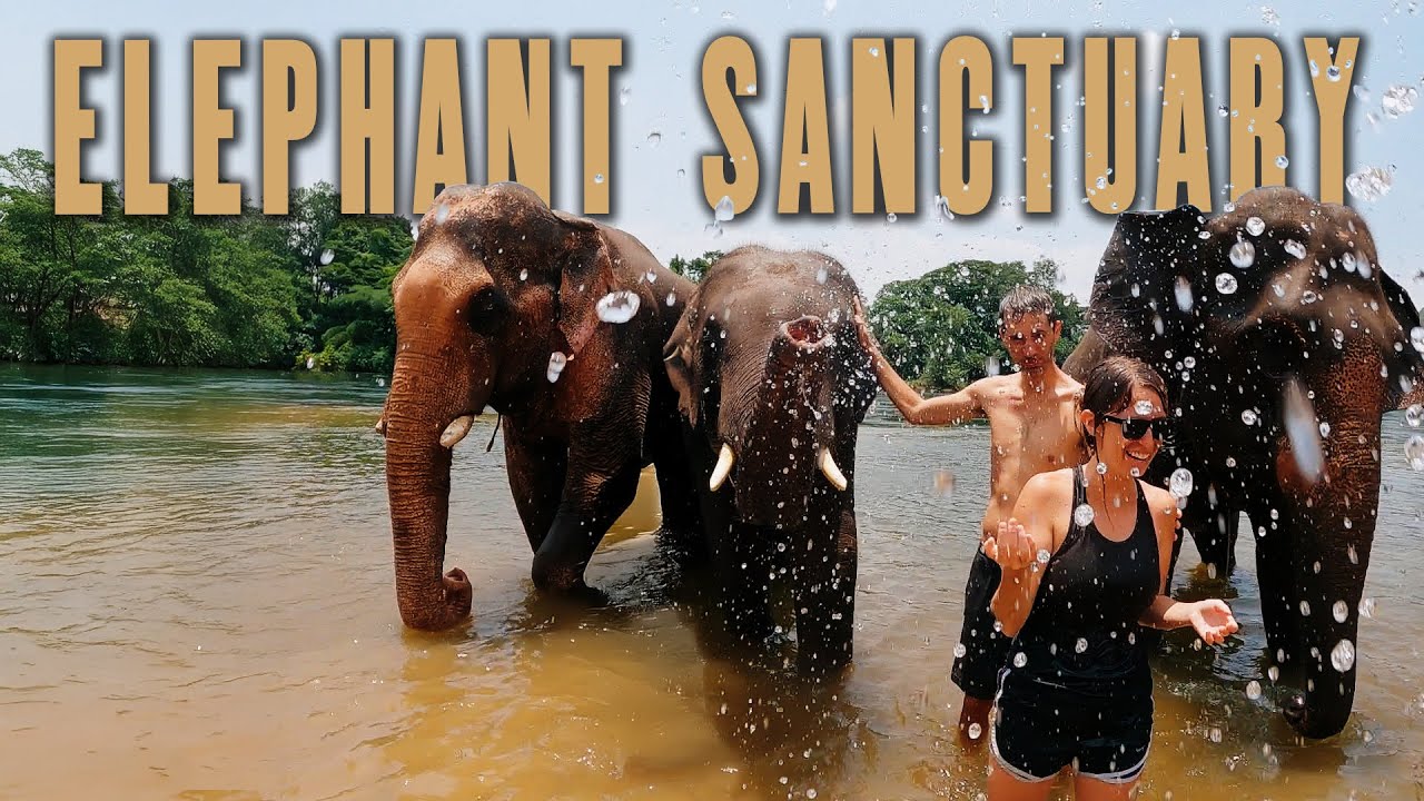 ELEPHANT SANCTUARY trip from Bangkok!