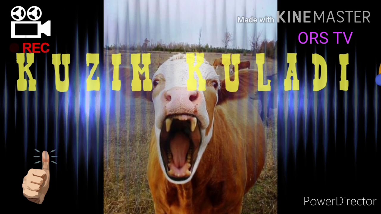 HUKIZ GAPGA KIRDI... KULYAPTI HUKKIZ...