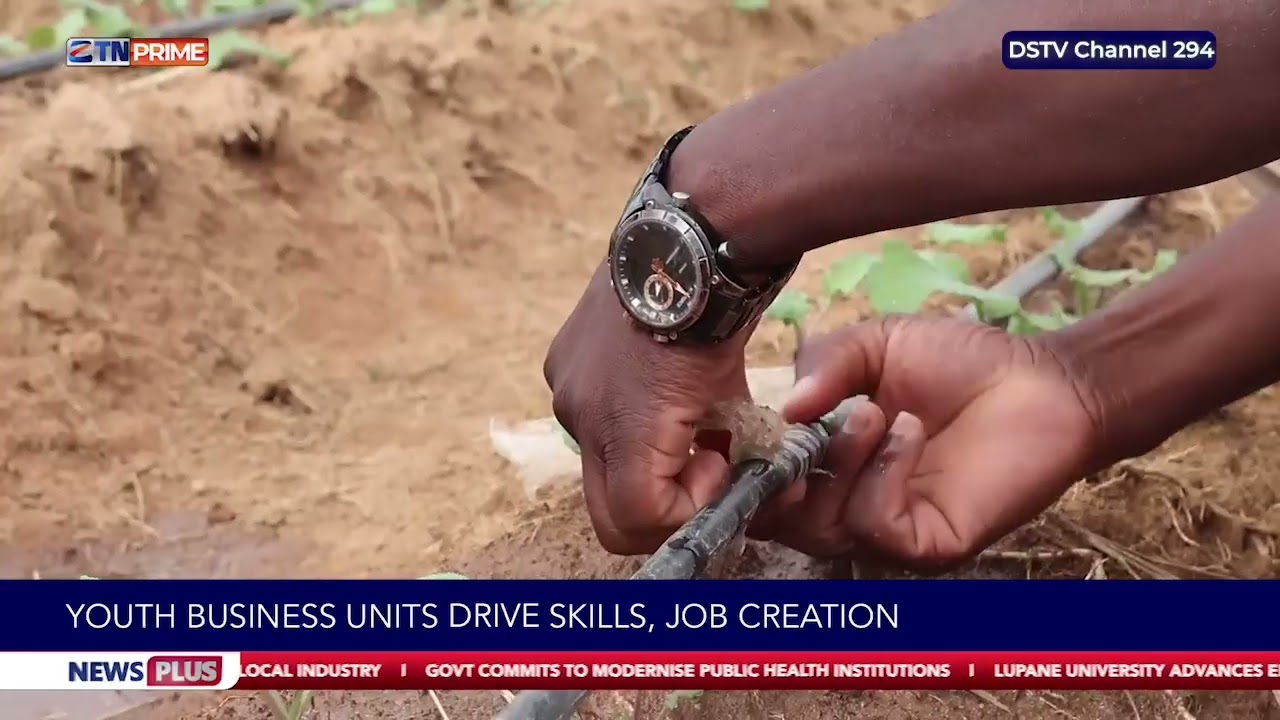 Youth business units drive skills and job creation