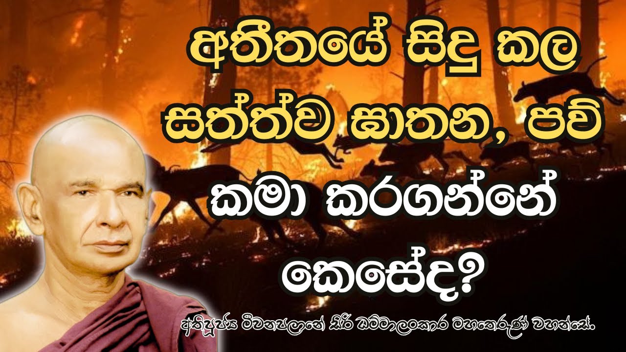 අතීතයේ සිදු කල සත්ත්ව ඝාතන, පව් කමා කරගන්නේ කෙසේද?