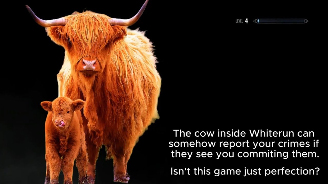 Sarcastically Helpful Loading Screens For Skyrim #13