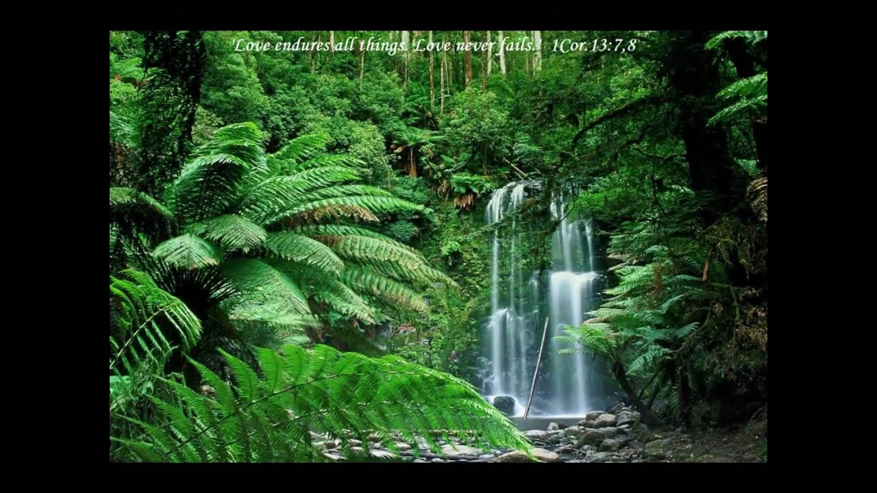 Jehovahs Amazing Creation - Planet Earth
