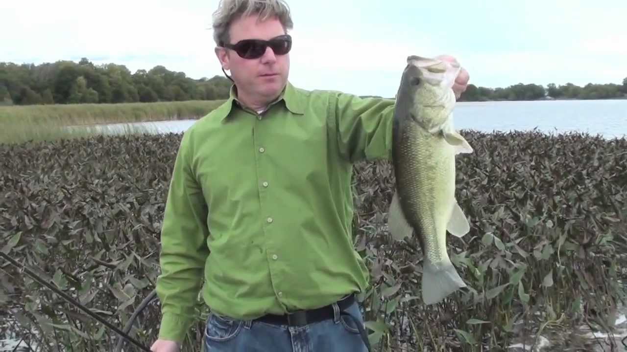 IBASSIN RULES # 1 Punching Weeds
