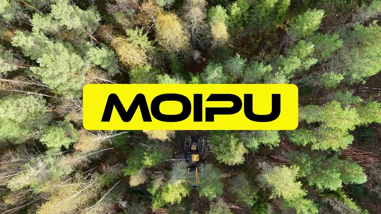 Moipu 300F1 pulpwood harvesting | kuitupuun korjuu