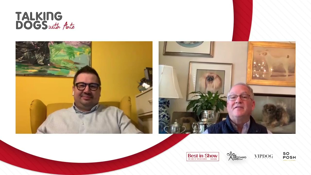 Talking dogs with David Fitzpatrick