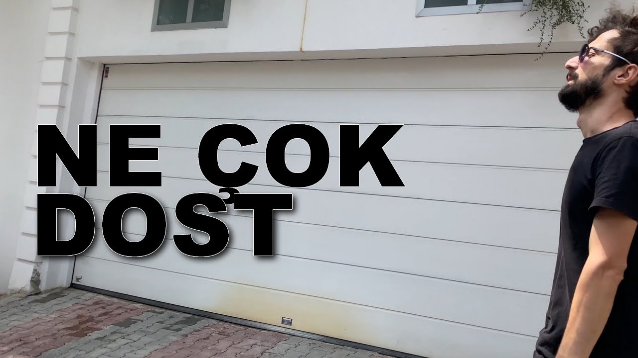 Ne Çok Dost - Serdar Söğüt
